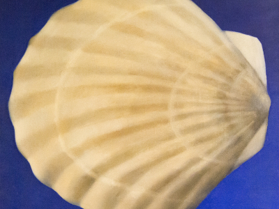 Огнян Цеков, Мида