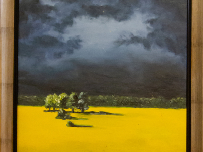 Рая Недялкова, 